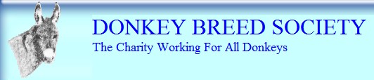 Donkey Breed Society (UK)