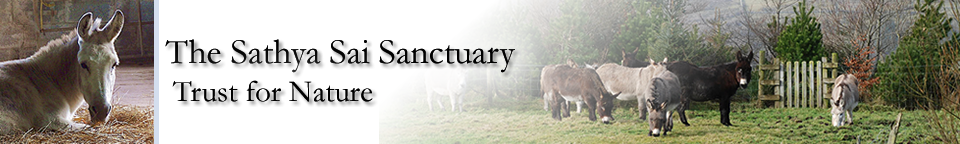 Sathya Sai Sanctuary Header