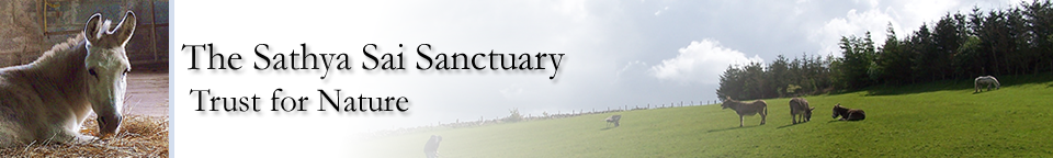 Sathya Sai Sanctuary Header