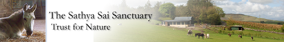 Sathya Sai Sanctuary Header