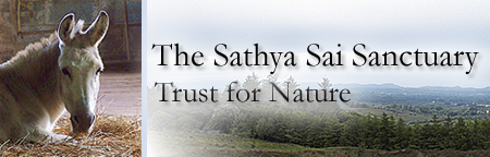 Sathya Sai Sanctuary Header