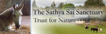 Sathya Sai Sanctuary Header