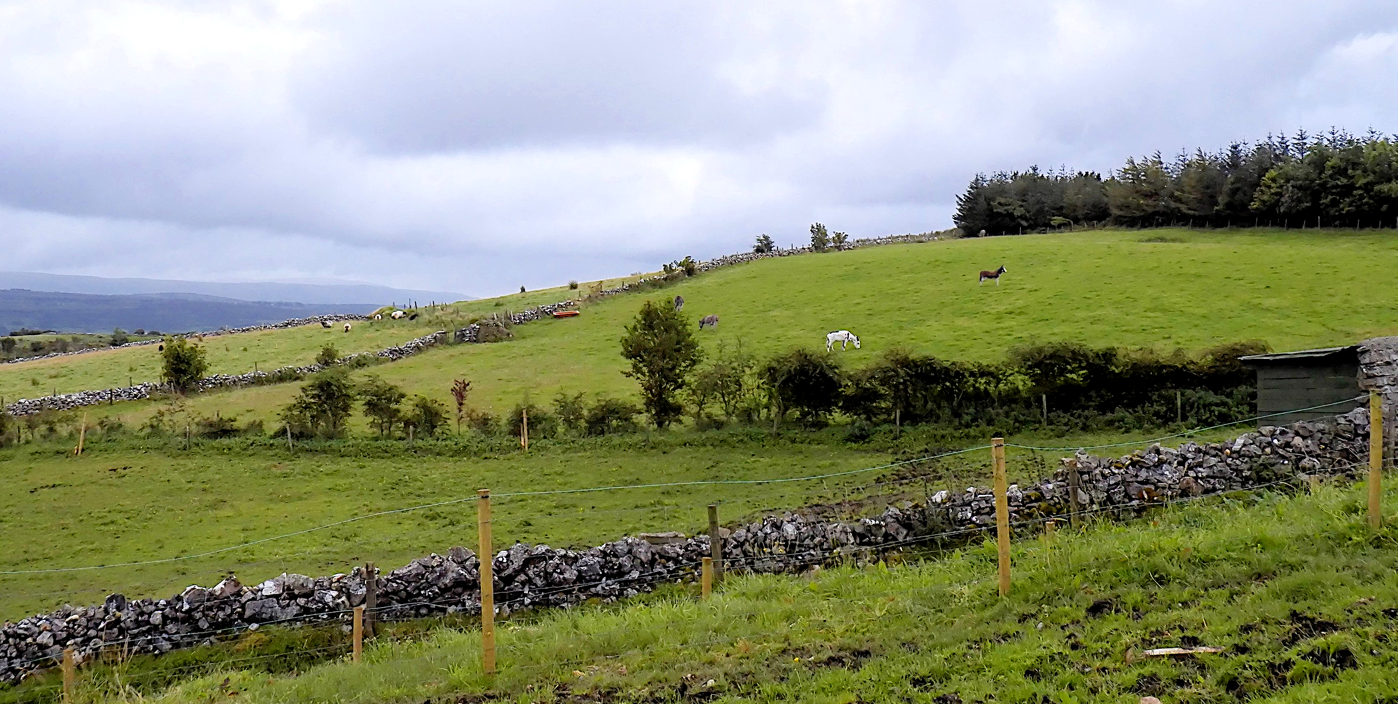 Upper yard and stables