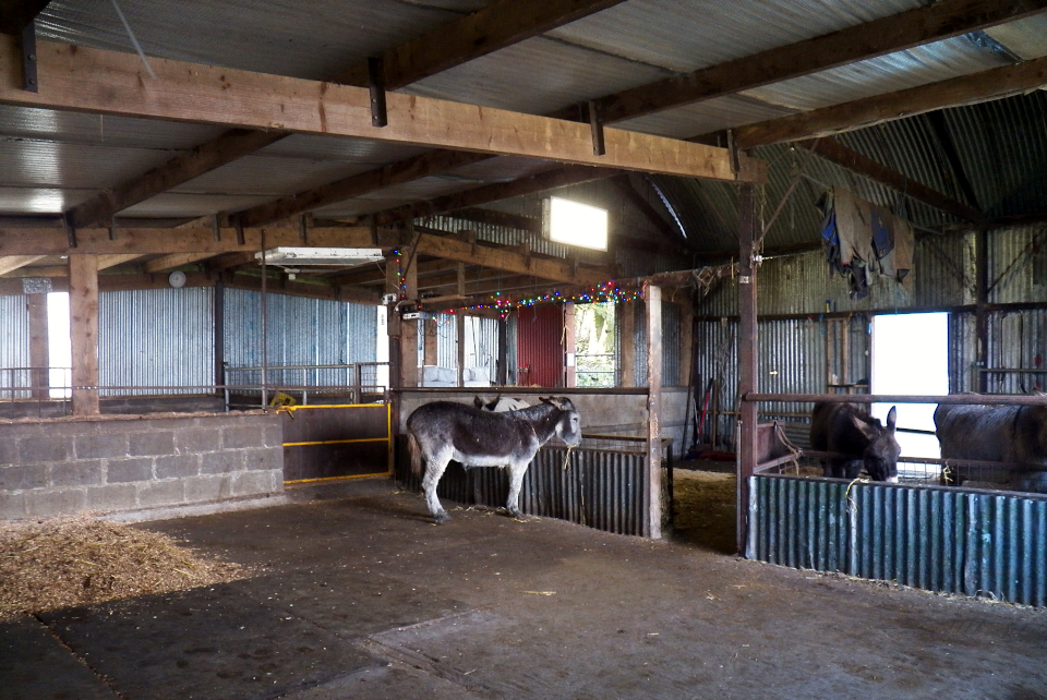 Inside the stables