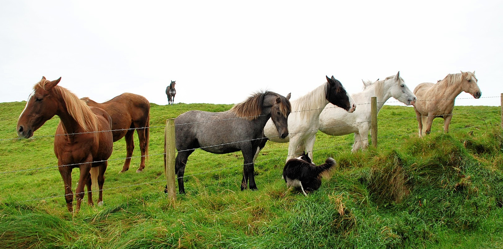 Upper yard and stables