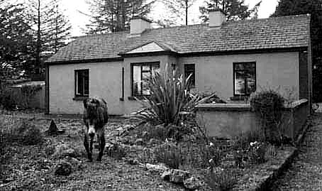 Flynn outside the top house