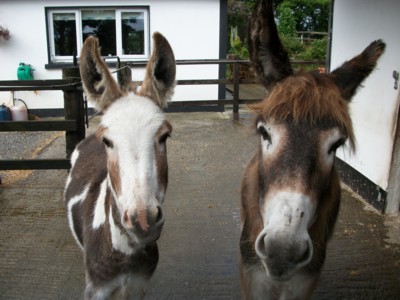 Wilf and Kaydee